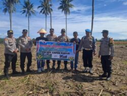 Kapolsek Ampek Nagari: Manfaatkan Lahan kosong bantu jaga ketahanan pangan