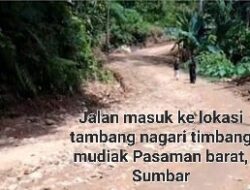 Tambang Emas Ilegal Aktifitas di Pasaman Barat Ratusan Ekskavator Beroperasi Bebas Diduga Dilindungi