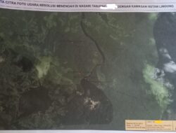 Diduga Hutan di Sumbar Riau Gundul dan Diperjual Belikan, Masuk Kawasan Lindung