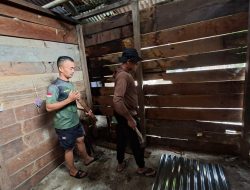 Proses Perbaikan RTLH Berjalan Lancar, Satgas TMMD Ke-127 Ganti Atap Seng Rusak