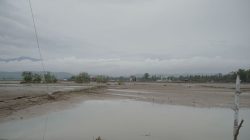 *Dorong Pemulihan Ekonomi, Satgas PRR Segera Rehabilitasi Tambak dan Keramba Terdampak*