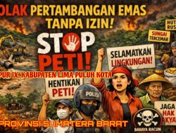 PETI Menggila di Kapur IX : Puluhan Excavator Beroperasi Siang Malam, APH Didesak Bertindak Serius