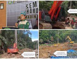 Ima Madina Pekanbaru desak Polda Sumut tangkap dan hentikan para mafia peti di perbatasan Tapsel-madina termasuk dugaan keterlibatan ormas