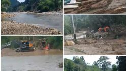 PETI Marak di Kab.50 Kota dan Kebal Hukum : Rusak Ekosistem Alam