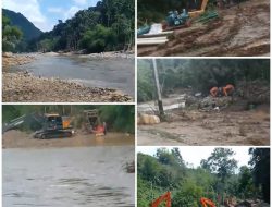 PETI Marak di Kab.50 Kota dan Kebal Hukum : Rusak Ekosistem Alam