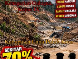 Excavator PETI Di Kenagarian Galugua Semangkin Gagah Tanpa Tindakan Tegas Dugaan Pembiaran APH Di Lima Puluh Kota Semangkin Nyata
