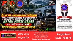 GAKKUM Kementerian Kehutanan Telusuri Rantai Getah Pinus Ilegal TNGC — Hingga PT EMB, UU Kehutanan & TPPU Jadi Sorotan Utama