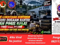 GAKKUM Kementerian Kehutanan Telusuri Rantai Getah Pinus Ilegal TNGC — Hingga PT EMB, UU Kehutanan & TPPU Jadi Sorotan Utama