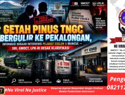 Getah Pinus TNGC Bergulir ke Pekalongan, Informasi Dugaan Intervensi Pejabat ESELON II Muncul — SBI, GMOCT, LPK-RI Desak Klarifikasi