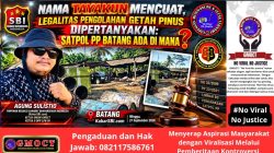 Nama Tayakun Mencuat, Legalitas Pengolahan Getah Pinus Dipertanyakan: Satpol PP Batang Ada di Mana?