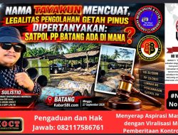 Nama Tayakun Mencuat, Legalitas Pengolahan Getah Pinus Dipertanyakan: Satpol PP Batang Ada di Mana?