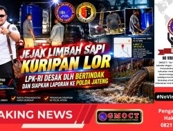 Jejak Limbah Sapi Kuripan Lor, LPK-RI Desak DLH dan Siapkan Laporan ke Polda Jateng